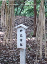 �������_��