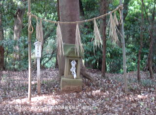 �������_��