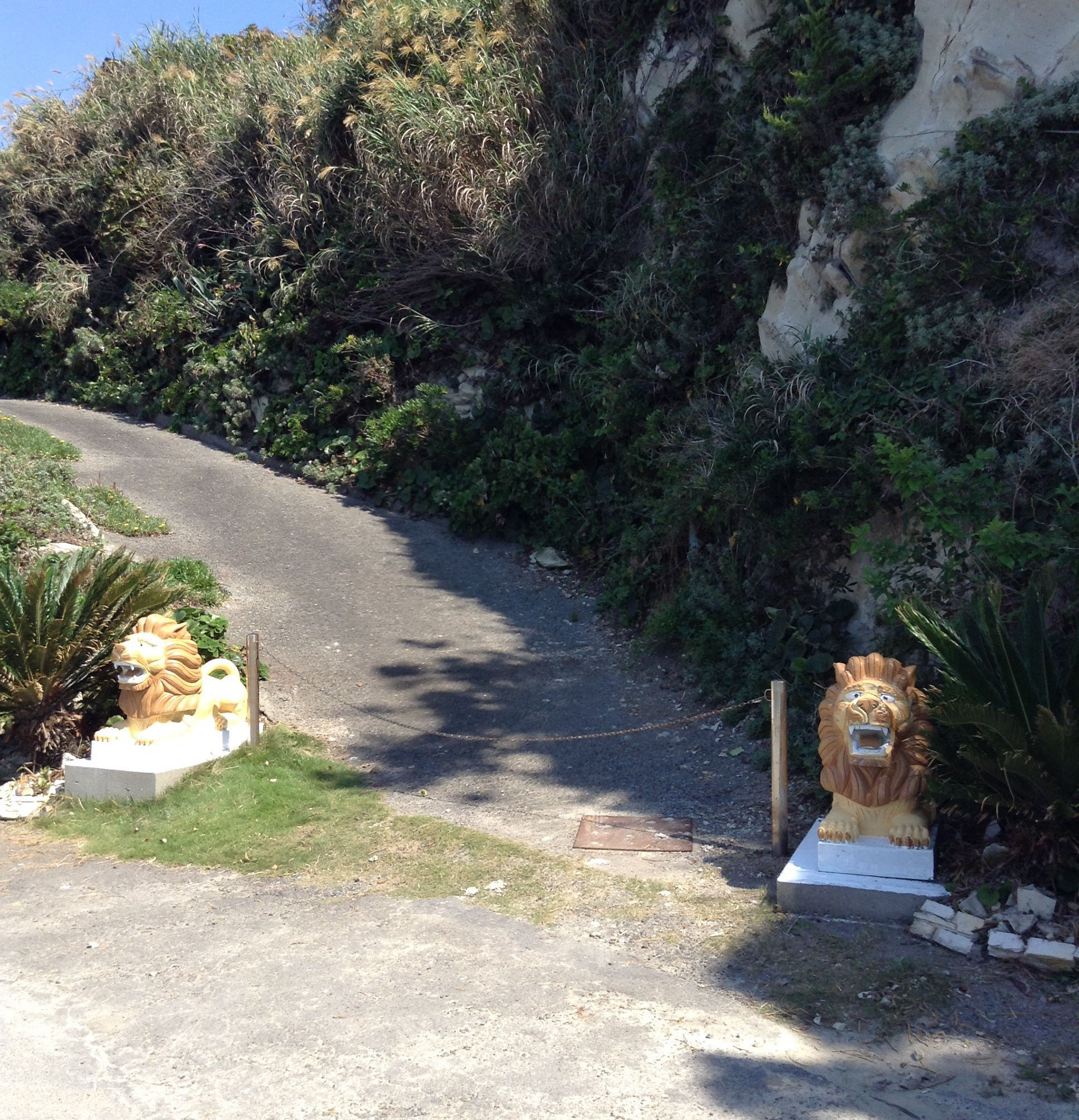 ���C�I���Q�[�g