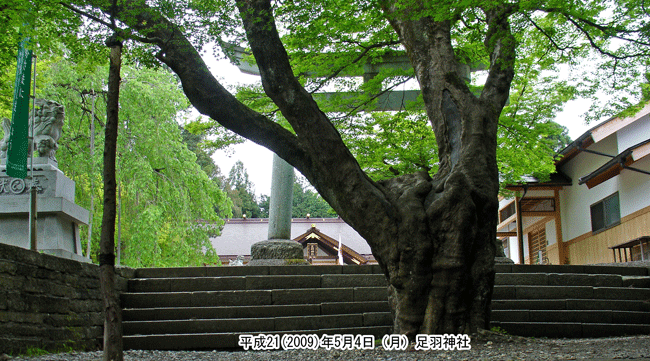 足羽神社（あすわ）