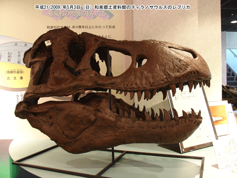 ティラノサウルスのレプリカ