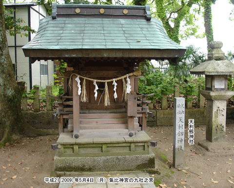 �V�����_��