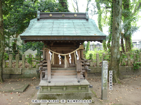 �V�ɜQ�ޕP�_��