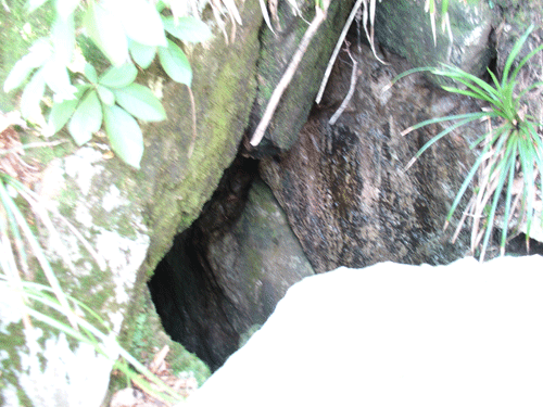 �Ώ�����i�B���j