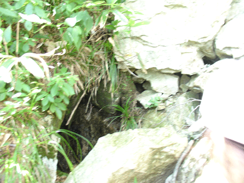 �Ώ�����i�B���j