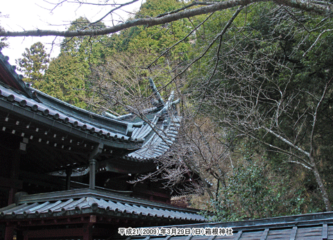 箱根神社の本殿