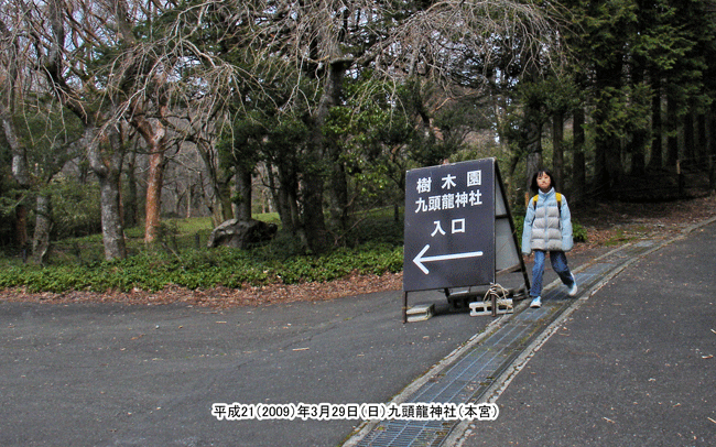 �������؉�