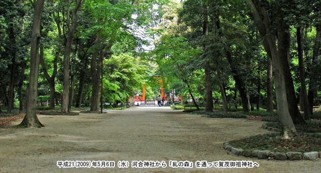 �͍��_�Ђ���u���̐X�v�𔲂��ĉ���ΐ_�Ёi��Ό�c�_�Ёj��