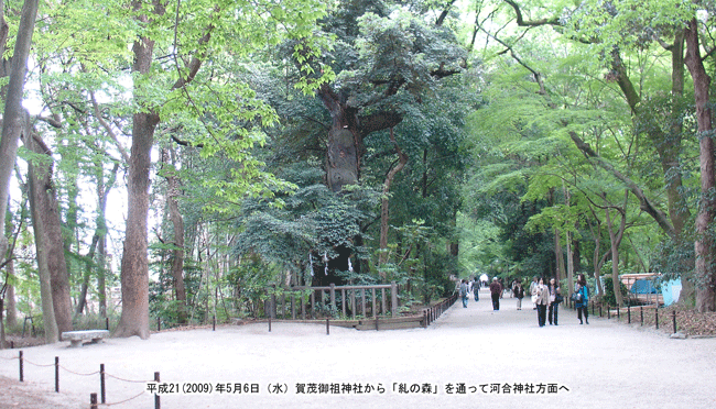 �͍��_�Ђ���u���̐X�v�𔲂��ĉ���ΐ_�Ёi��Ό�c�_�Ёj��