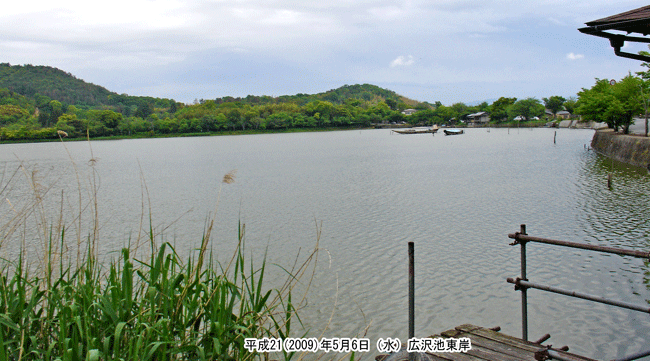広沢池の東岸を撮影