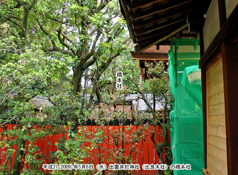 �L��r�̐��݂ɂ��鎙�_��