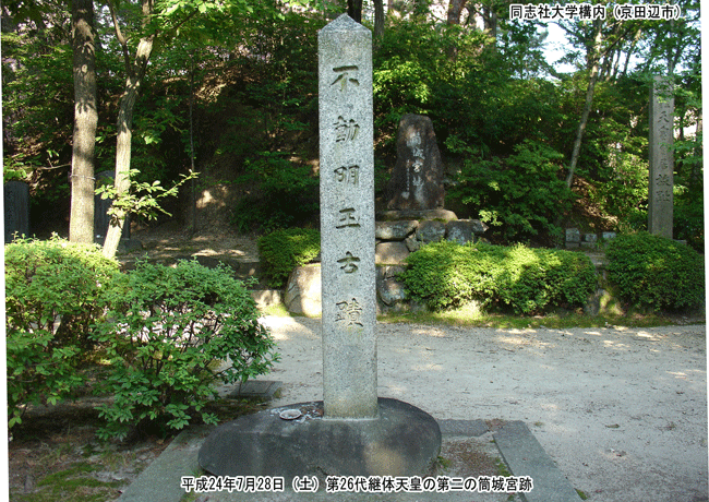 ����{�i���݂̂�j