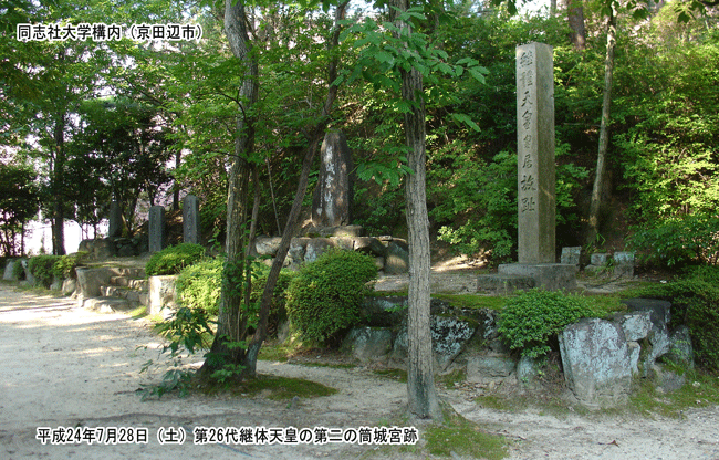 ����{�i���݂̂�j