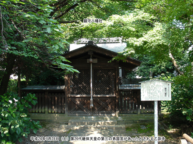 ���̑�t��(�{��)�̔�����