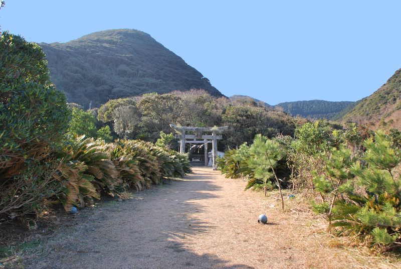 ����̓V�_���v�����_�Ђ̑�N�X