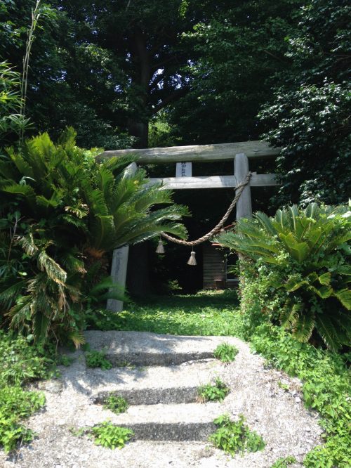 ����̐_�䍰�_��