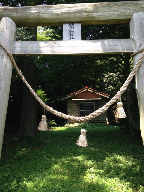 ����̐_�䍰�_��