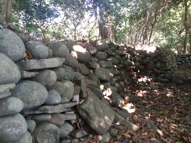 ����̐_�䍰�_��