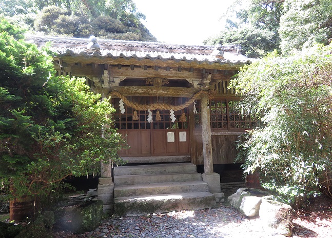 ���Ă̑��v�����_�Дq�a