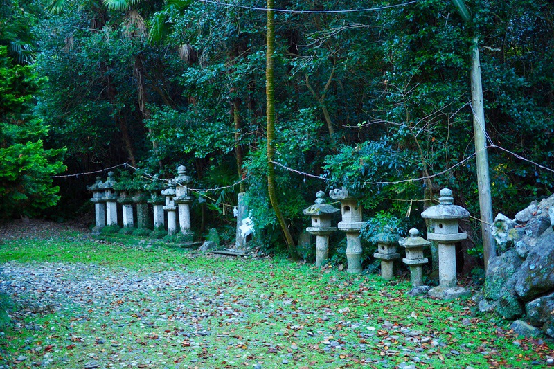 �s���؁i����ʂځj�`�Ñ���J��