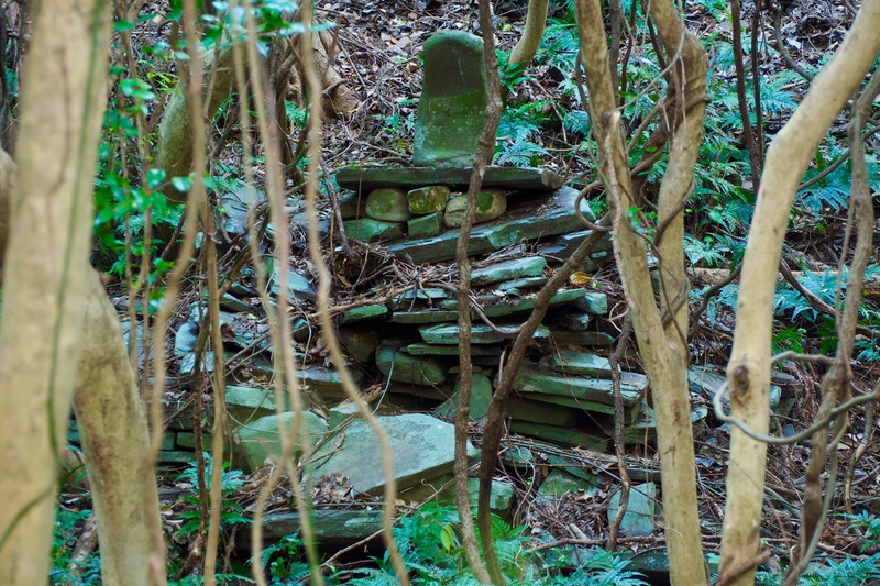 ���Ă̕s���؁i����ʂځj