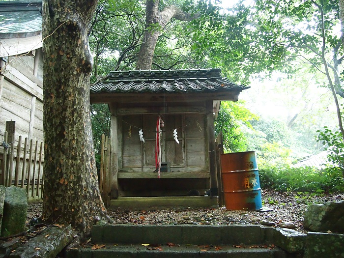 ���Ă̑��v�����_�Дq�a