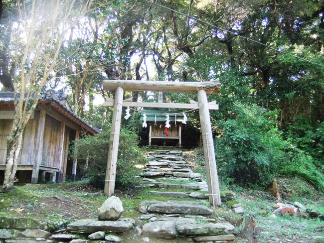 ���Ẳ��{�_��