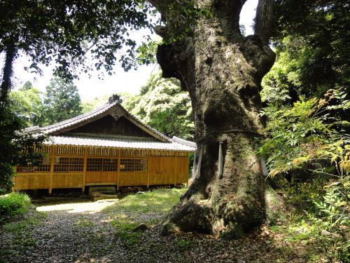 ���Ă̑��v�����_�Ђ̑�N�X