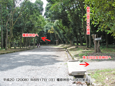 ���T�R�o�R��