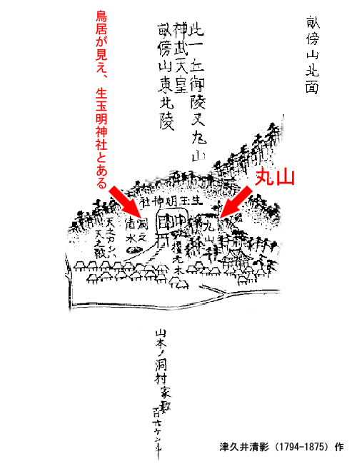 生玉神社と丸山
