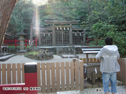 �w���_�Ёi�Ђ΂�j