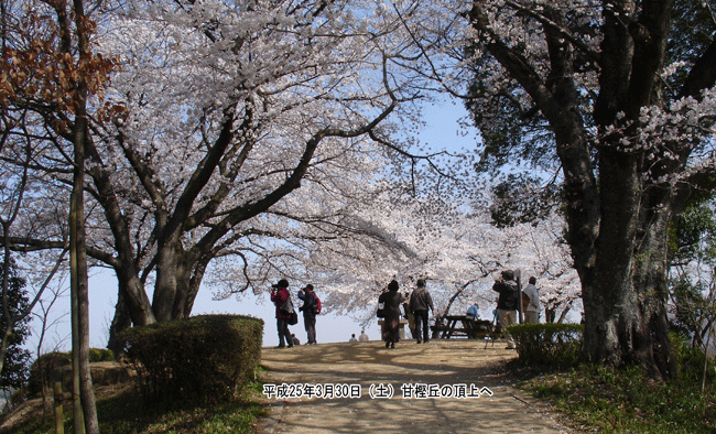 �Ê~�u�W�]���