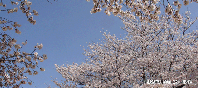 �Ê~�u�W�]���