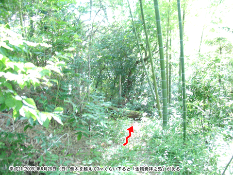 �������˔V���Ƃ��������R�i�Ƃт�܁j��