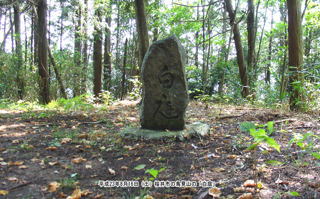 �u����v��