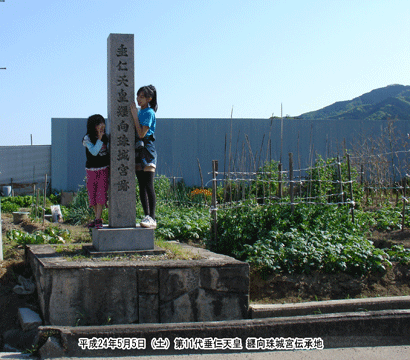 ��11�� ���m�V�c�̎��{�`���n