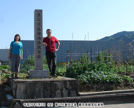 ��11�� ���m�V�c�̎��{�`���n