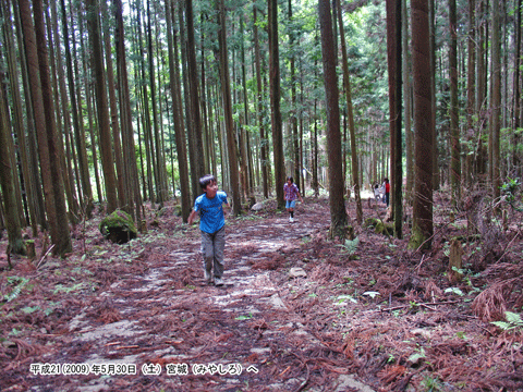 �ѓ��̓o��n��