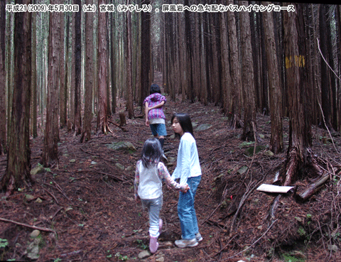 ����̏���