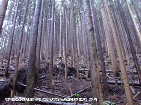 ���R�����������グ��