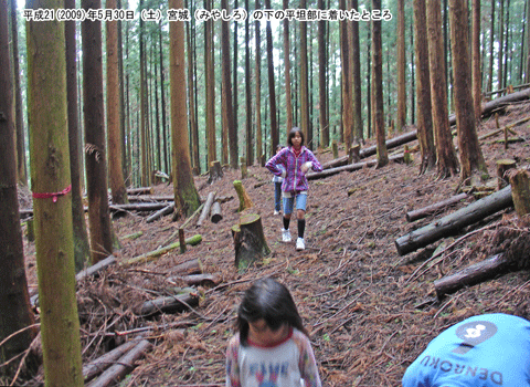 ����̕��R���ɂ݂�Ȃ��������n�߂��Ƃ���