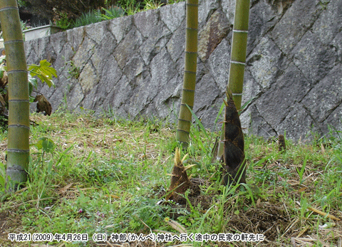 �_�ː_�Ёi����ׁj�֍s���r���̖��Ƃɒ|�̎q���E�E