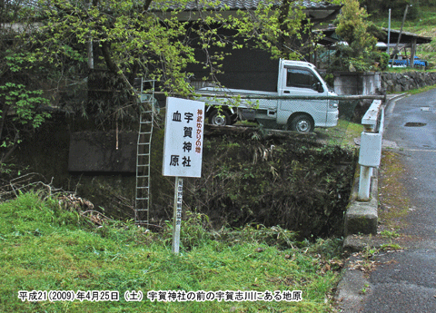 �F��u�쉈���̌���