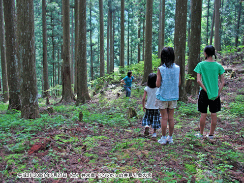 ��X���̈�˂Ɖ��{��