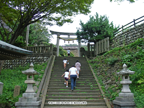 �\�����R�_�Ёi�̂��͂�����j