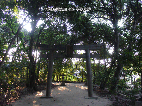 ���V�_�Ђ̒���