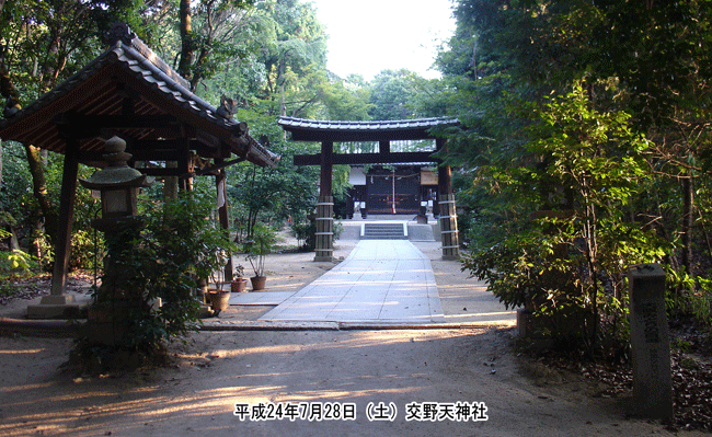 ��26��p�̓V�c�����ʂ��ꂽ���t�{�Ղ����� ���V�_��