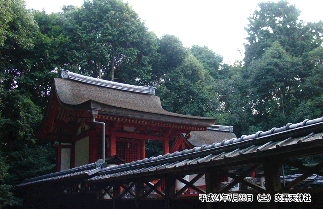 ��26��p�̓V�c�����ʂ��ꂽ���t�{�Ղ����� ���V�_��