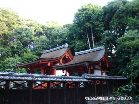 ��26��p�̓V�c�����ʂ��ꂽ���t�{�Ղ����� ���V�_��