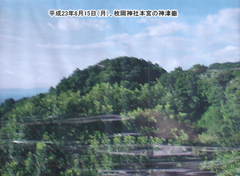 �_�ÛԖ{�{�i���݂����j